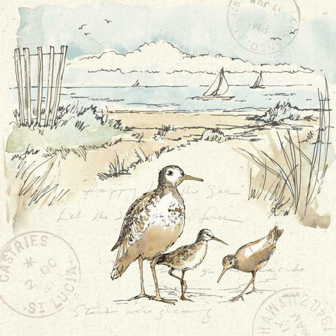 Coastal Breeze X Gold Ornate Wood Framed Art Print with Double Matting by Tavoletti, Anne