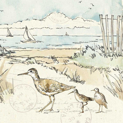 Coastal Breeze XII Black Ornate Wood Framed Art Print with Double Matting by Tavoletti, Anne