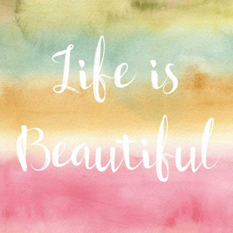 Rainbow Seeds Painted Pattern XIV Life Black Modern Wood Framed Art Print with Double Matting by Audit, Lisa