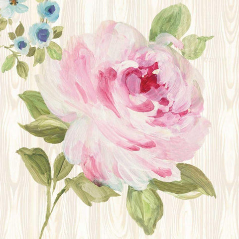 Driftwood Garden III Gold Ornate Wood Framed Art Print with Double Matting by Wild Apple Portfolio