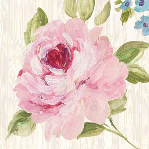 Driftwood Garden IV Gold Ornate Wood Framed Art Print with Double Matting by Wild Apple Portfolio