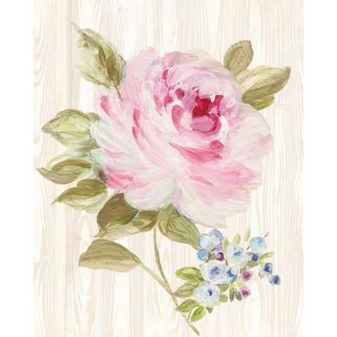 Driftwood Garden V Gold Ornate Wood Framed Art Print with Double Matting by Wild Apple Portfolio