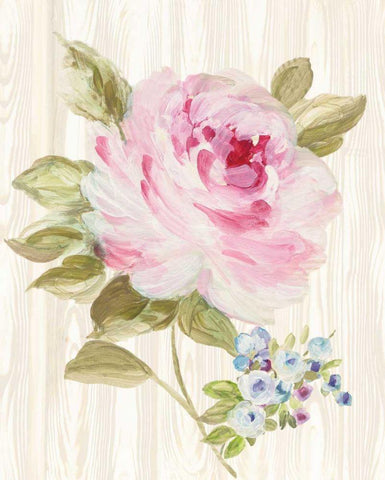 Driftwood Garden V White Modern Wood Framed Art Print with Double Matting by Wild Apple Portfolio