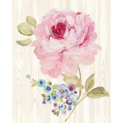 Driftwood Garden VI White Modern Wood Framed Art Print by Wild Apple Portfolio