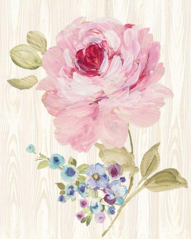 Driftwood Garden VI White Modern Wood Framed Art Print with Double Matting by Wild Apple Portfolio