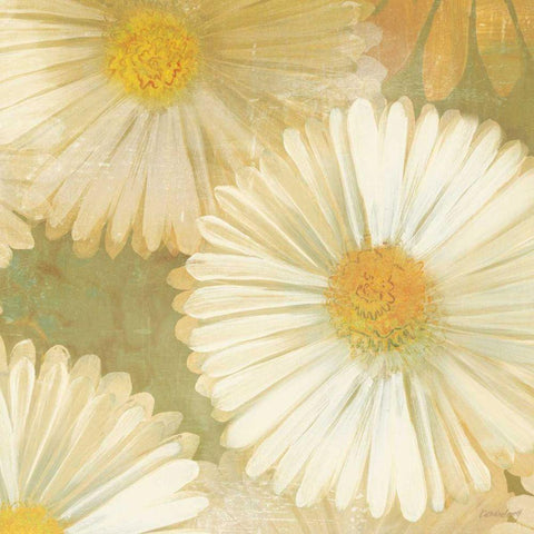 Daisy Story Square I Black Modern Wood Framed Art Print by Lovell, Kathrine