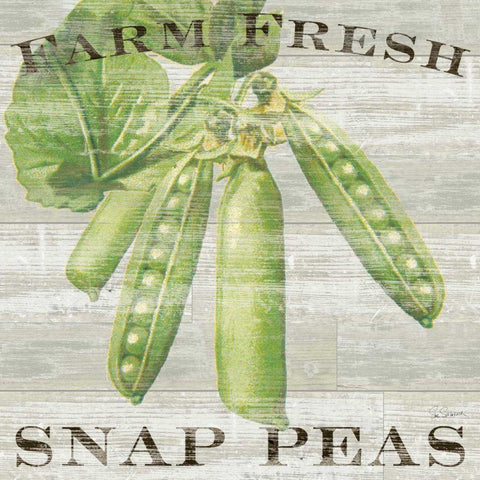 Farm Fresh Peas White Modern Wood Framed Art Print with Double Matting by Schlabach, Sue