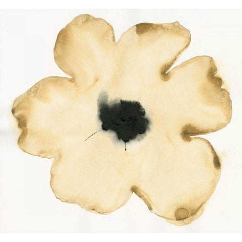 Suede Fleur II Black Modern Wood Framed Art Print by Novak, Shirley
