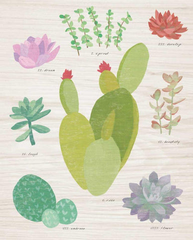 Succulent Chart III on Wood White Modern Wood Framed Art Print with Double Matting by Wild Apple Portfolio
