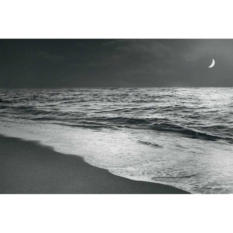 Moonrise Beach Black and White White Modern Wood Framed Art Print by Schlabach, Sue