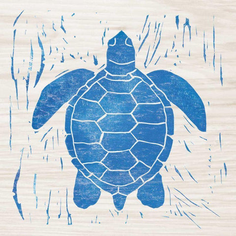 Sea Creature Turtle Blue Black Modern Wood Framed Art Print with Double Matting by Prahl, Courtney