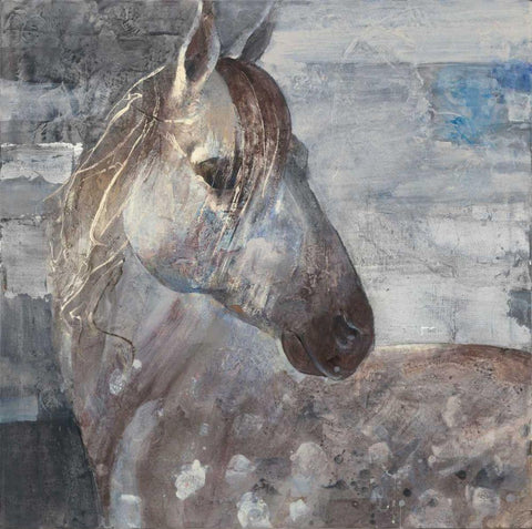 Appaloosa White Modern Wood Framed Art Print with Double Matting by Hristova, Albena