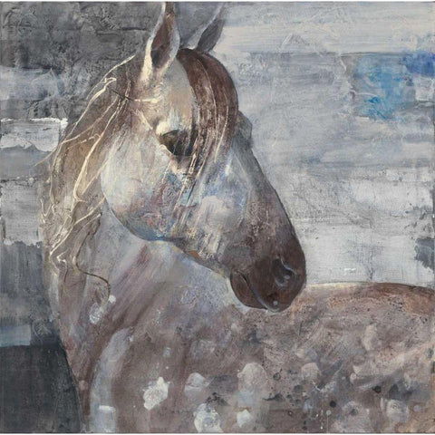 Appaloosa Black Modern Wood Framed Art Print by Hristova, Albena