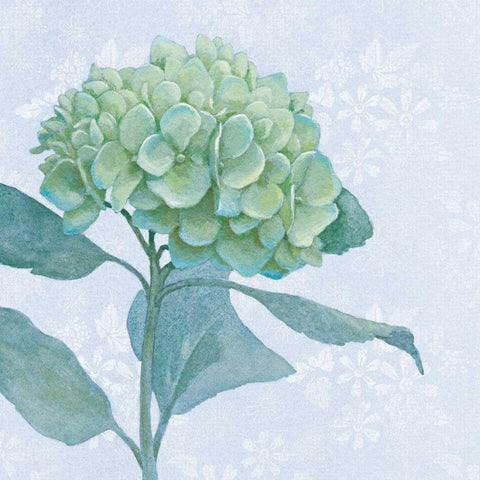 Blue Hydrangea I Black Modern Wood Framed Art Print with Double Matting by Grove, Beth