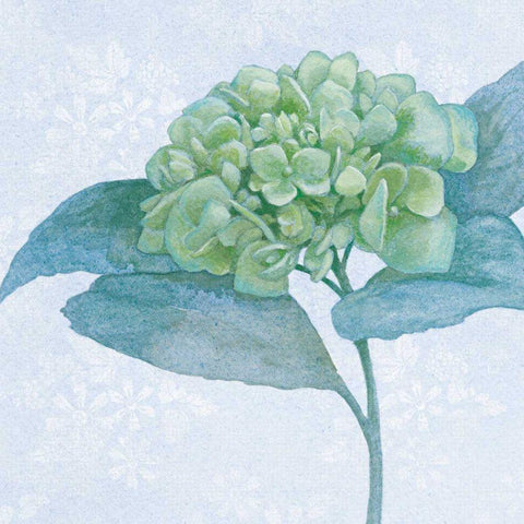 Blue Hydrangea II White Modern Wood Framed Art Print with Double Matting by Grove, Beth