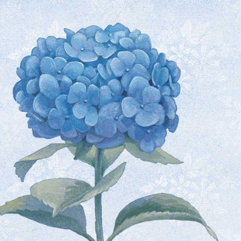 Blue Hydrangea III White Modern Wood Framed Art Print with Double Matting by Grove, Beth