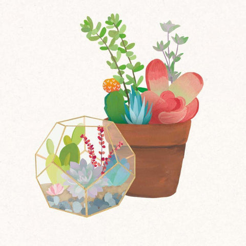 Succulent Garden III White Modern Wood Framed Art Print by Wild Apple Portfolio