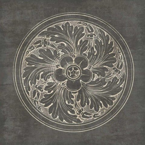 Rosette II Gray Black Modern Wood Framed Art Print with Double Matting by Wild Apple Portfolio