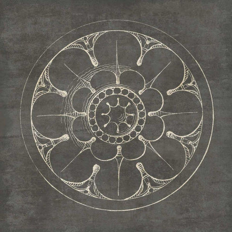 Rosette III Gray White Modern Wood Framed Art Print by Wild Apple Portfolio