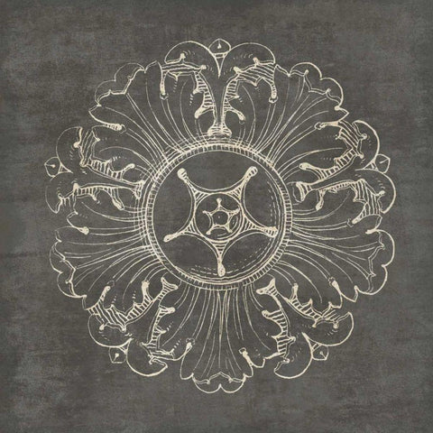 Rosette VI Gray Black Ornate Wood Framed Art Print with Double Matting by Wild Apple Portfolio