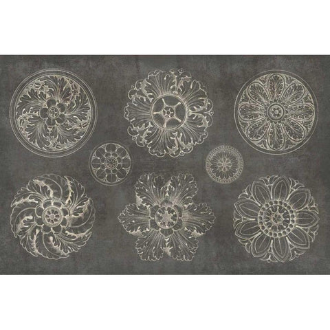 Rosette IX Gray Black Modern Wood Framed Art Print with Double Matting by Wild Apple Portfolio