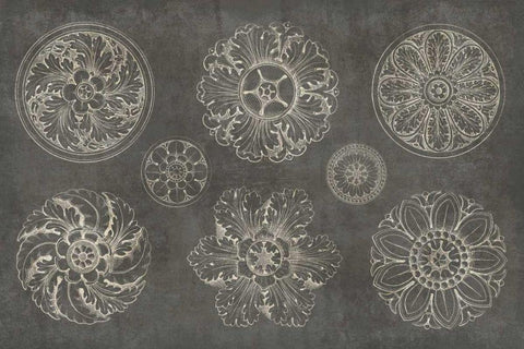 Rosette IX Gray White Modern Wood Framed Art Print with Double Matting by Wild Apple Portfolio