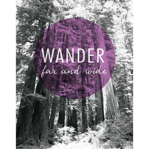 Wander Far and Wide Black Modern Wood Framed Art Print with Double Matting by Marshall, Laura