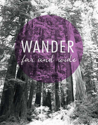 Wander Far and Wide Black Ornate Wood Framed Art Print with Double Matting by Marshall, Laura