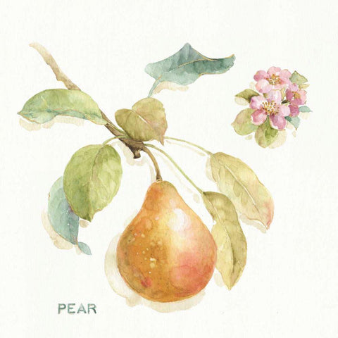 Orchard Bloom II Black Ornate Wood Framed Art Print with Double Matting by Audit, Lisa