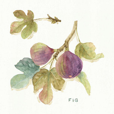 Orchard Bloom III White Modern Wood Framed Art Print with Double Matting by Audit, Lisa