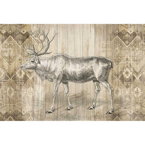 Natural History Lodge IX Black Modern Wood Framed Art Print by Wild Apple Portfolio