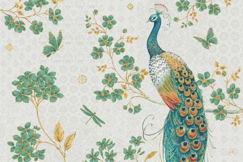 Ornate Peacock IV Master Black Ornate Wood Framed Art Print with Double Matting by Daphne, Brissonnet