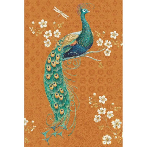 Ornate Peacock IX Spice Black Modern Wood Framed Art Print with Double Matting by Brissonnet, Daphne