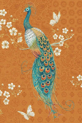 Ornate Peacock X Spice White Modern Wood Framed Art Print with Double Matting by Brissonnet, Daphne