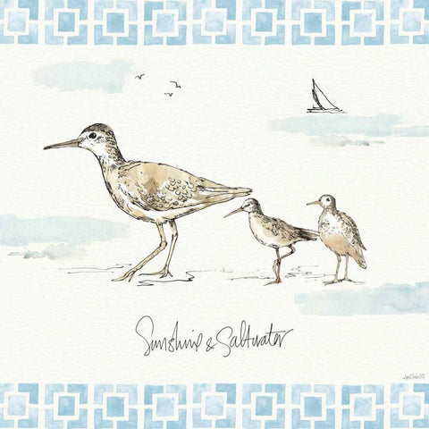 Sandpiper Sea II White Modern Wood Framed Art Print by Tavoletti, Anne
