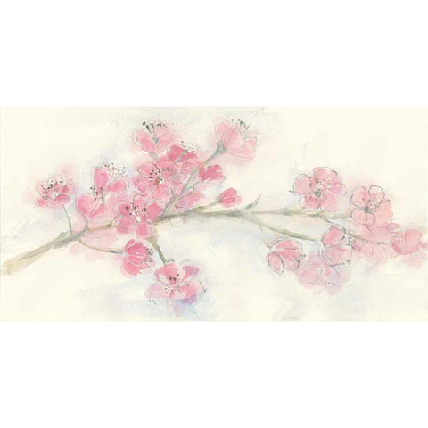 Cherry Blossom I Black Modern Wood Framed Art Print with Double Matting by Paschke, Chris