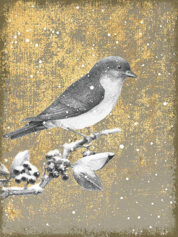 Winter Birds Bluebird Neutral White Modern Wood Framed Art Print with Double Matting by Grove, Beth