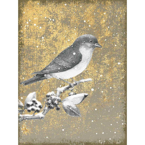Winter Birds Bluebird Neutral White Modern Wood Framed Art Print by Grove, Beth