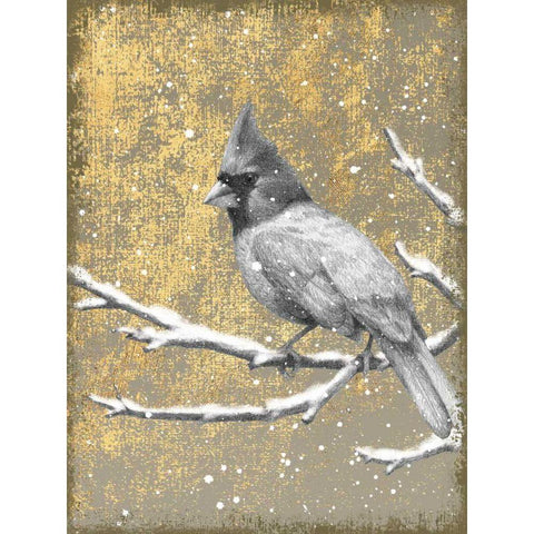 Winter Birds Cardinal Neutral Black Modern Wood Framed Art Print by Grove, Beth