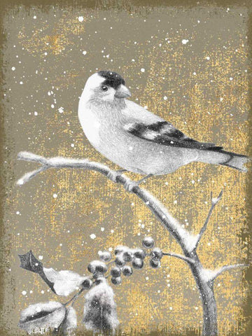 Winter Birds Goldfinch Neutral White Modern Wood Framed Art Print with Double Matting by Grove, Beth