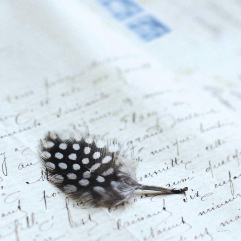 Plume Letters I Gold Ornate Wood Framed Art Print with Double Matting by Schlabach, Sue