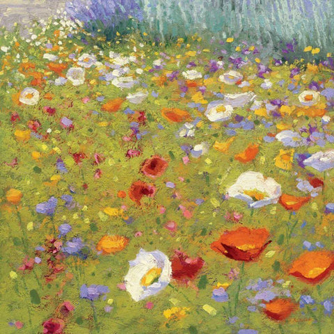 Champ de Fleur II  White Modern Wood Framed Art Print by Novak, Shirley