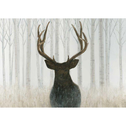 Into the Forest Black Modern Wood Framed Art Print with Double Matting by Wiens, James