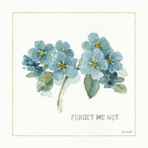 My Greenhouse Forget Me Not White Modern Wood Framed Art Print with Double Matting by Audit, Lisa