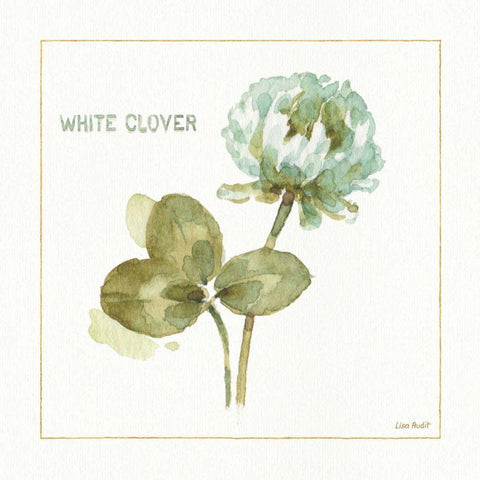 My Greenhouse White Clover White Modern Wood Framed Art Print with Double Matting by Audit, Lisa