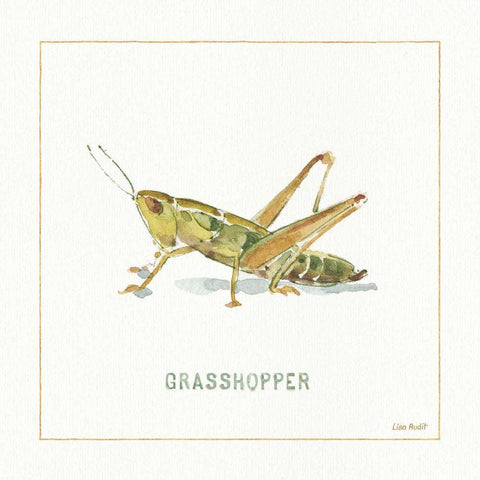 My Greenhouse Grasshopper Gold Ornate Wood Framed Art Print with Double Matting by Audit, Lisa