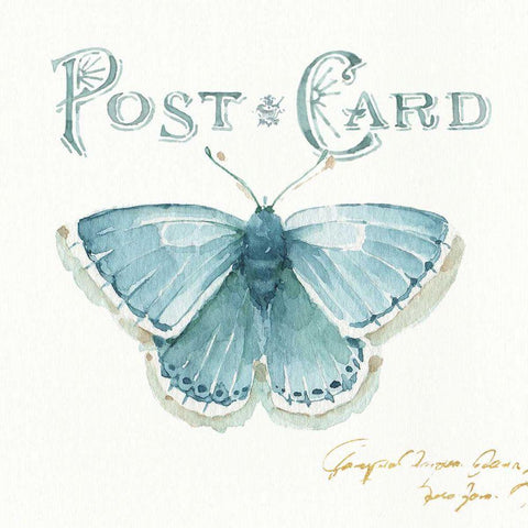 My Greenhouse Butterflies I White Modern Wood Framed Art Print with Double Matting by Audit, Lisa