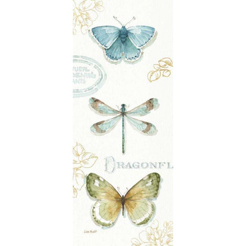 My Greenhouse Butterflies V White Modern Wood Framed Art Print by Audit, Lisa
