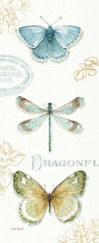 My Greenhouse Butterflies V White Modern Wood Framed Art Print with Double Matting by Audit, Lisa