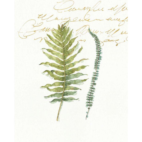 My Greenhouse Fern I Gold Ornate Wood Framed Art Print with Double Matting by Audit, Lisa